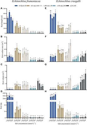 Adaptability of root morphology and growth of two forage grass species in response to salt stress